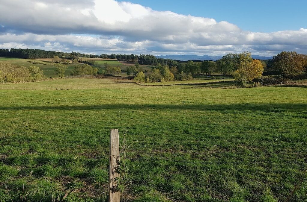 Une expertise professionnelle de terrain